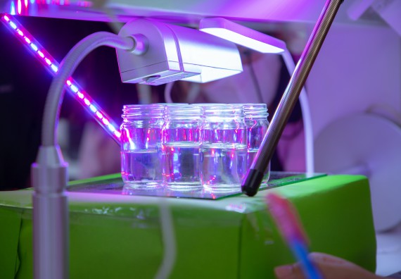 ภาพกิจกรรม  คณะวิทยาศาสตร์และเทคโนโลยี มหาวิทยาลัยราชภัฏกำแพงเพชร ร่วมกับกลุ่มสาระการเรียนรู้ภาษาต่างประเทศ โรงเรียนพิจิตรพิทยาคม จัดโครงการพัฒนาผู้เรียนมีผลสัมฤทธิ์ทางวิชาการ