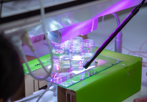 ภาพกิจกรรม  คณะวิทยาศาสตร์และเทคโนโลยี มหาวิทยาลัยราชภัฏกำแพงเพชร ร่วมกับกลุ่มสาระการเรียนรู้ภาษาต่างประเทศ โรงเรียนพิจิตรพิทยาคม จัดโครงการพัฒนาผู้เรียนมีผลสัมฤทธิ์ทางวิชาการ