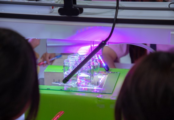 ภาพกิจกรรม  คณะวิทยาศาสตร์และเทคโนโลยี มหาวิทยาลัยราชภัฏกำแพงเพชร ร่วมกับกลุ่มสาระการเรียนรู้ภาษาต่างประเทศ โรงเรียนพิจิตรพิทยาคม จัดโครงการพัฒนาผู้เรียนมีผลสัมฤทธิ์ทางวิชาการ