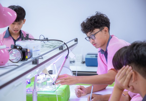 ภาพกิจกรรม  คณะวิทยาศาสตร์และเทคโนโลยี มหาวิทยาลัยราชภัฏกำแพงเพชร ร่วมกับกลุ่มสาระการเรียนรู้ภาษาต่างประเทศ โรงเรียนพิจิตรพิทยาคม จัดโครงการพัฒนาผู้เรียนมีผลสัมฤทธิ์ทางวิชาการ