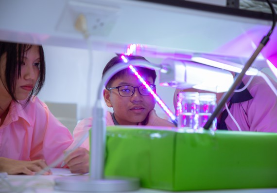 ภาพกิจกรรม  คณะวิทยาศาสตร์และเทคโนโลยี มหาวิทยาลัยราชภัฏกำแพงเพชร ร่วมกับกลุ่มสาระการเรียนรู้ภาษาต่างประเทศ โรงเรียนพิจิตรพิทยาคม จัดโครงการพัฒนาผู้เรียนมีผลสัมฤทธิ์ทางวิชาการ