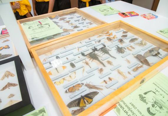 ภาพกิจกรรม  คณะวิทยาศาสตร์และเทคโนโลยี มหาวิทยาลัยราชภัฏกำแพงเพชร ร่วมกับโรงเรียนเทศบาล 2 (วัดทุ่งสวน) สังกัดเทศบาลเมืองกำแพงเพชร จัดกิจกรรมค่ายปฏิบัติการทางวิทยาศาสตร์