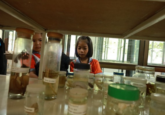 ภาพกิจกรรม  คณะวิทยาศาสตร์และเทคโนโลยี มหาวิทยาลัยราชภัฏกำแพงเพชร ให้การต้อนรับผู้รับบริหารสถานศึกษา คณะครู บุคลากรทางการศึกษา และนักเรียน จากโรงเรียนสหวิทยาคมในการนำนักเรียนออกค่ายเรียนรู้แหล่งเรียนรู้นอกสถานที่