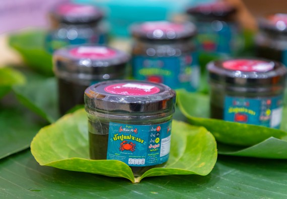 ภาพกิจกรรม  คณะวิทยาศาสตร์และเทคโนโลยี มหาวิทยาลัยราชภัฏกำแพงเพชร นำนิทรรศการศูนย์ STEM คณะวิทยาศาสตร์และเทคโนโลยี จำนวน 3 บูธ เข้าร่วมจัดในกิจกรรมงานเปิดศูนย์การเรียนรู้ตลอดชีวิตและพัฒนามาตรฐานวิชาชีพ (LPC)