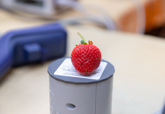 ภาพกิจกรรม  คณะวิทยาศาสตร์และเทคโนโลยี มหาวิทยาลัยราชภัฏกำแพงเพชร นำนิทรรศการศูนย์ STEM คณะวิทยาศาสตร์และเทคโนโลยี จำนวน 3 บูธ เข้าร่วมจัดในกิจกรรมงานเปิดศูนย์การเรียนรู้ตลอดชีวิตและพัฒนามาตรฐานวิชาชีพ (LPC)