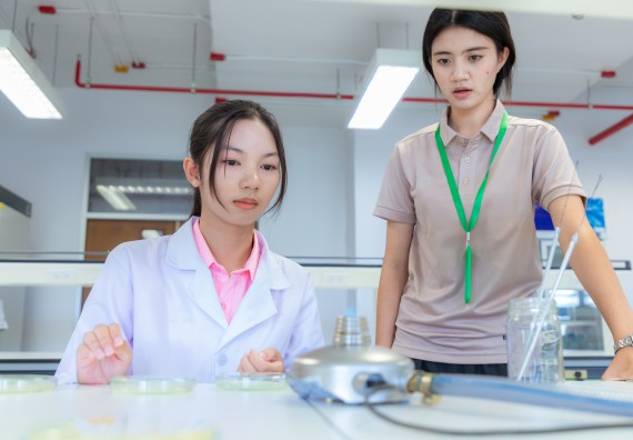 ภาพกิจกรรม  คณะวิทยาศาสตร์และเทคโนโลยี มหาวิทยาลัยราชภัฏกำแพงเพชร ร่วมกับโรงเรียนพิจิตรพิทยาคม จัดกิจกรรมเสริมปฏิบัติการเพิ่มเติมในมหาวิทยาลัย (ปฏิบัติการจุลชีววิทยา) ปีการศึกษา 2568