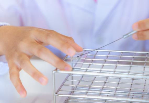 ภาพกิจกรรม  คณะวิทยาศาสตร์และเทคโนโลยี มหาวิทยาลัยราชภัฏกำแพงเพชร ร่วมกับโรงเรียนพิจิตรพิทยาคม จัดกิจกรรมเสริมปฏิบัติการเพิ่มเติมในมหาวิทยาลัย (ปฏิบัติการจุลชีววิทยา) ปีการศึกษา 2568