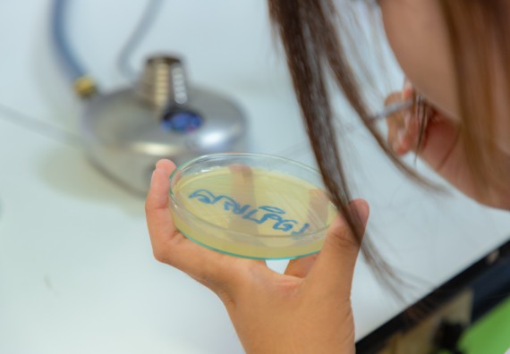 ภาพกิจกรรม  คณะวิทยาศาสตร์และเทคโนโลยี มหาวิทยาลัยราชภัฏกำแพงเพชร ร่วมกับโรงเรียนพิจิตรพิทยาคม จัดกิจกรรมเสริมปฏิบัติการเพิ่มเติมในมหาวิทยาลัย (ปฏิบัติการจุลชีววิทยา) ปีการศึกษา 2568