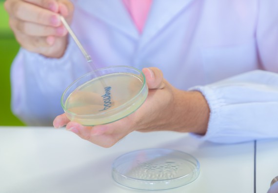 ภาพกิจกรรม  คณะวิทยาศาสตร์และเทคโนโลยี มหาวิทยาลัยราชภัฏกำแพงเพชร ร่วมกับโรงเรียนพิจิตรพิทยาคม จัดกิจกรรมเสริมปฏิบัติการเพิ่มเติมในมหาวิทยาลัย (ปฏิบัติการจุลชีววิทยา) ปีการศึกษา 2568