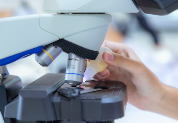 ภาพกิจกรรม  คณะวิทยาศาสตร์และเทคโนโลยี มหาวิทยาลัยราชภัฏกำแพงเพชร ร่วมกับโรงเรียนพิจิตรพิทยาคม จัดกิจกรรมเสริมปฏิบัติการเพิ่มเติมในมหาวิทยาลัย (ปฏิบัติการจุลชีววิทยา) ปีการศึกษา 2568