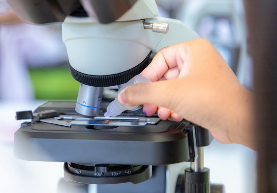 ภาพกิจกรรม  คณะวิทยาศาสตร์และเทคโนโลยี มหาวิทยาลัยราชภัฏกำแพงเพชร ร่วมกับโรงเรียนพิจิตรพิทยาคม จัดกิจกรรมเสริมปฏิบัติการเพิ่มเติมในมหาวิทยาลัย (ปฏิบัติการจุลชีววิทยา) ปีการศึกษา 2568