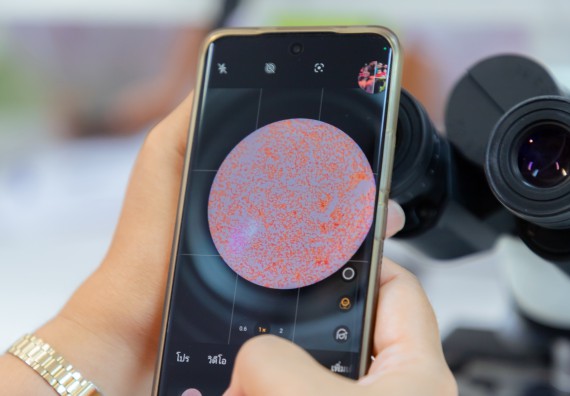 ภาพกิจกรรม  คณะวิทยาศาสตร์และเทคโนโลยี มหาวิทยาลัยราชภัฏกำแพงเพชร ร่วมกับโรงเรียนพิจิตรพิทยาคม จัดกิจกรรมเสริมปฏิบัติการเพิ่มเติมในมหาวิทยาลัย (ปฏิบัติการจุลชีววิทยา) ปีการศึกษา 2568