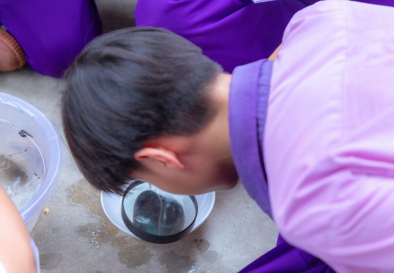 ภาพกิจกรรม คณะวิทยาศาสตร์และเทคโนโลยี มหาวิทยาลัยราชภัฏกำแพงเพชร ร่วมกับโรงเรียนคลองขลุงราษฎร์รังสรรค์ กำหนดจัดกิจกรรมค่ายบูรณาการวิทยาศาสตร์ คณิตศาสตร์และเทคโนโลยีเพื่อส่งเสริมนักเรียนในโครงการห้องเรียนพิเศษ (E-SMART) 