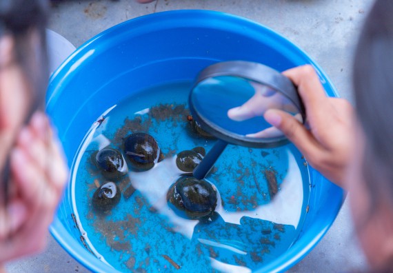 ภาพกิจกรรม คณะวิทยาศาสตร์และเทคโนโลยี มหาวิทยาลัยราชภัฏกำแพงเพชร ร่วมกับโรงเรียนคลองขลุงราษฎร์รังสรรค์ กำหนดจัดกิจกรรมค่ายบูรณาการวิทยาศาสตร์ คณิตศาสตร์และเทคโนโลยีเพื่อส่งเสริมนักเรียนในโครงการห้องเรียนพิเศษ (E-SMART) 