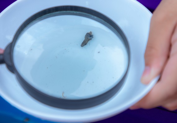 ภาพกิจกรรม คณะวิทยาศาสตร์และเทคโนโลยี มหาวิทยาลัยราชภัฏกำแพงเพชร ร่วมกับโรงเรียนคลองขลุงราษฎร์รังสรรค์ กำหนดจัดกิจกรรมค่ายบูรณาการวิทยาศาสตร์ คณิตศาสตร์และเทคโนโลยีเพื่อส่งเสริมนักเรียนในโครงการห้องเรียนพิเศษ (E-SMART) 