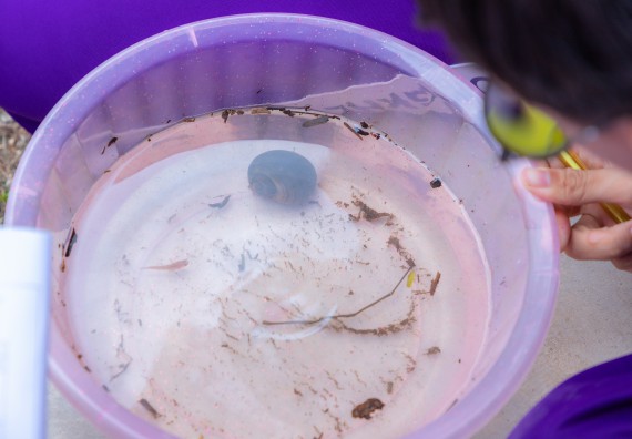 ภาพกิจกรรม คณะวิทยาศาสตร์และเทคโนโลยี มหาวิทยาลัยราชภัฏกำแพงเพชร ร่วมกับโรงเรียนคลองขลุงราษฎร์รังสรรค์ กำหนดจัดกิจกรรมค่ายบูรณาการวิทยาศาสตร์ คณิตศาสตร์และเทคโนโลยีเพื่อส่งเสริมนักเรียนในโครงการห้องเรียนพิเศษ (E-SMART) 