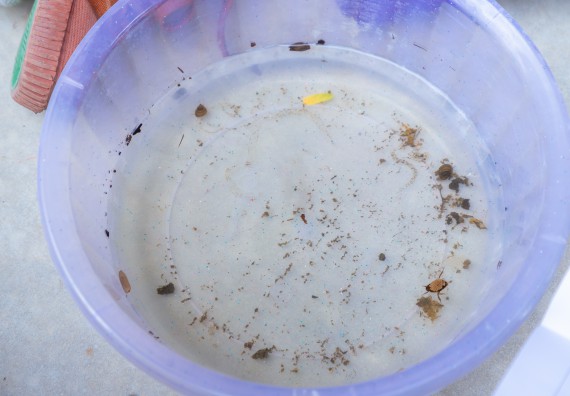 ภาพกิจกรรม คณะวิทยาศาสตร์และเทคโนโลยี มหาวิทยาลัยราชภัฏกำแพงเพชร ร่วมกับโรงเรียนคลองขลุงราษฎร์รังสรรค์ กำหนดจัดกิจกรรมค่ายบูรณาการวิทยาศาสตร์ คณิตศาสตร์และเทคโนโลยีเพื่อส่งเสริมนักเรียนในโครงการห้องเรียนพิเศษ (E-SMART) 