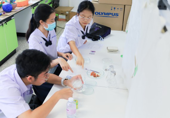 ภาพกิจกรรม   คณะวิทยาศาสตร์และเทคโนโลยี มหาวิทยาลัยราชภัฏกําแพงเพชร จัดการแข่งขันทักษะทางวิทยาศาสตร์และเทคโนโลยี ระดับมัธยมศึกษาตอนต้น ระดับมัธยมศึกษาตอนปลาย ในงานสัปดาห์วิทยาศาสตร์แห่งชาติ ส่วนภูมิภาค ประจำปี 2568