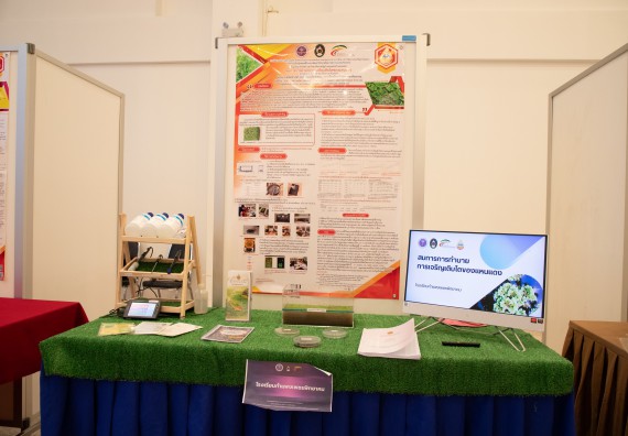 ภาพกิจกรรม  หลักสูตรสาขาวิชาคณิตศาสตร์ประยุกต์ คณะวิทยาศาสตร์และเทคโนโลยี มหาวิทยาลัยราชภัฏกำแพงเพชร จะดำเนินการจัดกิจกรรมนิทรรศการแสดงผลงานและสัมมนาโครงงานทางคณิตศาสตร์