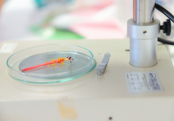 ภาพกิจกรรม คณะวิทยาศาสตร์และเทคโนโลยี มหาวิทยาลัยราชภัฏกำแพงเพชร ร่วมกับโรงเรียนอนุบาลกำแพงเพชร จัดกิจกรรมสะเต็มศึกษา ตามโครงการฝึกทักษะเพื่อพัฒนาอุจฉริยะภาพวิทยาศาสตร์