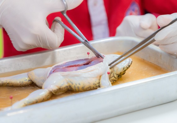 ภาพกิจกรรม  คณะวิทยาศาสตร์และเทคโนโลยี มหาวิทยาลัยราชภัฏกำแพงเพชร ร่วมกับโรงเรียนกำแพงเพชรพิทยาคม จัดกิจกรรมค่ายวิทยาศาสตร์นักเรียนห้องเรียนพิเศษวิทยาศาสตร์