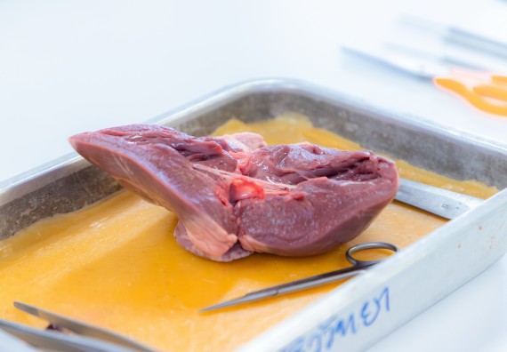 ภาพกิจกรรม  คณะวิทยาศาสตร์และเทคโนโลยี มหาวิทยาลัยราชภัฏกำแพงเพชร ร่วมกับโรงเรียนกำแพงเพชรพิทยาคม จัดกิจกรรมค่ายวิทยาศาสตร์นักเรียนห้องเรียนพิเศษวิทยาศาสตร์