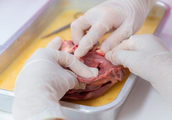 ภาพกิจกรรม  คณะวิทยาศาสตร์และเทคโนโลยี มหาวิทยาลัยราชภัฏกำแพงเพชร ร่วมกับโรงเรียนกำแพงเพชรพิทยาคม จัดกิจกรรมค่ายวิทยาศาสตร์นักเรียนห้องเรียนพิเศษวิทยาศาสตร์