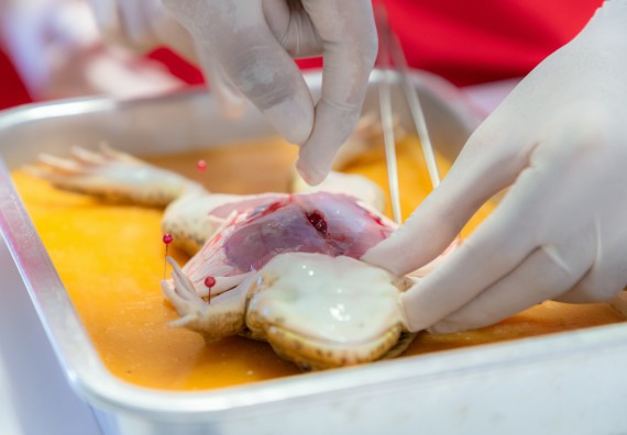 ภาพกิจกรรม  คณะวิทยาศาสตร์และเทคโนโลยี มหาวิทยาลัยราชภัฏกำแพงเพชร ร่วมกับโรงเรียนกำแพงเพชรพิทยาคม จัดกิจกรรมค่ายวิทยาศาสตร์นักเรียนห้องเรียนพิเศษวิทยาศาสตร์