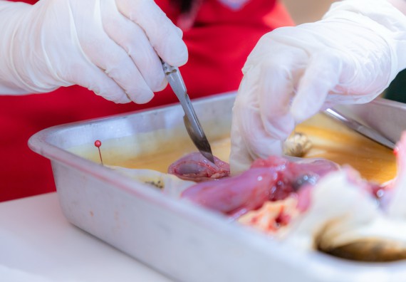 ภาพกิจกรรม  คณะวิทยาศาสตร์และเทคโนโลยี มหาวิทยาลัยราชภัฏกำแพงเพชร ร่วมกับโรงเรียนกำแพงเพชรพิทยาคม จัดกิจกรรมค่ายวิทยาศาสตร์นักเรียนห้องเรียนพิเศษวิทยาศาสตร์