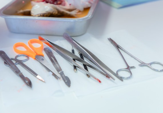 ภาพกิจกรรม  คณะวิทยาศาสตร์และเทคโนโลยี มหาวิทยาลัยราชภัฏกำแพงเพชร ร่วมกับโรงเรียนกำแพงเพชรพิทยาคม จัดกิจกรรมค่ายวิทยาศาสตร์นักเรียนห้องเรียนพิเศษวิทยาศาสตร์