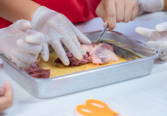 ภาพกิจกรรม  คณะวิทยาศาสตร์และเทคโนโลยี มหาวิทยาลัยราชภัฏกำแพงเพชร ร่วมกับโรงเรียนกำแพงเพชรพิทยาคม จัดกิจกรรมค่ายวิทยาศาสตร์นักเรียนห้องเรียนพิเศษวิทยาศาสตร์