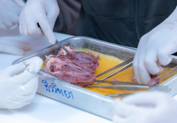 ภาพกิจกรรม  คณะวิทยาศาสตร์และเทคโนโลยี มหาวิทยาลัยราชภัฏกำแพงเพชร ร่วมกับโรงเรียนกำแพงเพชรพิทยาคม จัดกิจกรรมค่ายวิทยาศาสตร์นักเรียนห้องเรียนพิเศษวิทยาศาสตร์