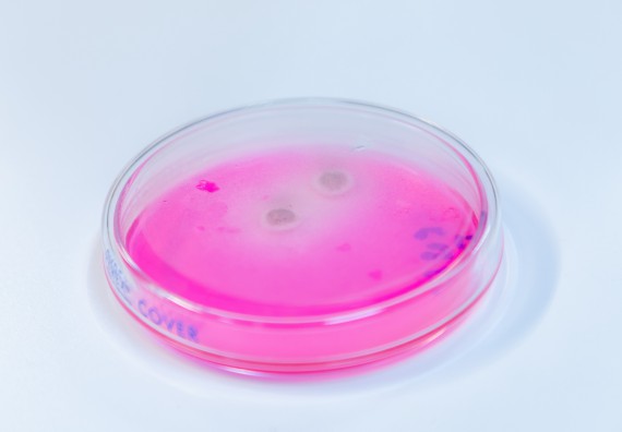 ภาพกิจกรรม  คณะวิทยาศาสตร์และเทคโนโลยี มหาวิทยาลัยราชภัฏกำแพงเพชร ร่วมกับโรงเรียนกำแพงเพชรพิทยาคม จัดกิจกรรมค่ายวิทยาศาสตร์นักเรียนห้องเรียนพิเศษวิทยาศาสตร์