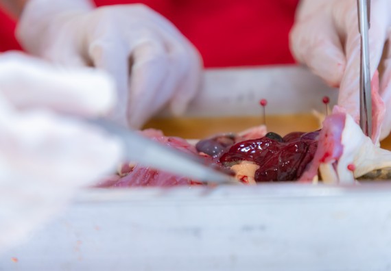 ภาพกิจกรรม  คณะวิทยาศาสตร์และเทคโนโลยี มหาวิทยาลัยราชภัฏกำแพงเพชร ร่วมกับโรงเรียนกำแพงเพชรพิทยาคม จัดกิจกรรมค่ายวิทยาศาสตร์นักเรียนห้องเรียนพิเศษวิทยาศาสตร์