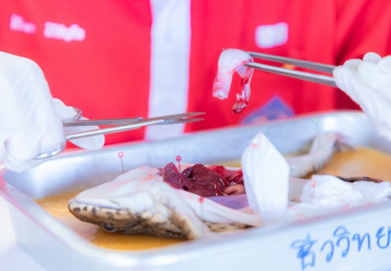 ภาพกิจกรรม  คณะวิทยาศาสตร์และเทคโนโลยี มหาวิทยาลัยราชภัฏกำแพงเพชร ร่วมกับโรงเรียนกำแพงเพชรพิทยาคม จัดกิจกรรมค่ายวิทยาศาสตร์นักเรียนห้องเรียนพิเศษวิทยาศาสตร์