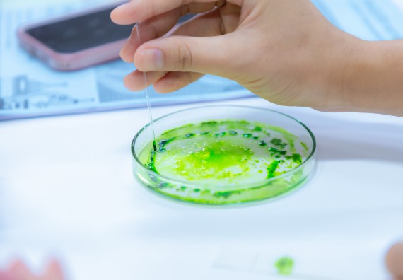 ภาพกิจกรรม  คณะวิทยาศาสตร์และเทคโนโลยี มหาวิทยาลัยราชภัฏกำแพงเพชร ร่วมกับโรงเรียนกำแพงเพชรพิทยาคม จัดกิจกรรมค่ายวิทยาศาสตร์นักเรียนห้องเรียนพิเศษวิทยาศาสตร์