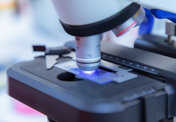 ภาพกิจกรรม  คณะวิทยาศาสตร์และเทคโนโลยี มหาวิทยาลัยราชภัฏกำแพงเพชร ร่วมกับโรงเรียนกำแพงเพชรพิทยาคม จัดกิจกรรมค่ายวิทยาศาสตร์นักเรียนห้องเรียนพิเศษวิทยาศาสตร์