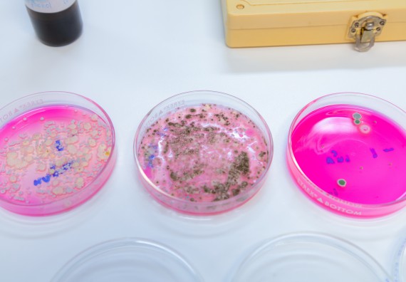 ภาพกิจกรรม  คณะวิทยาศาสตร์และเทคโนโลยี มหาวิทยาลัยราชภัฏกำแพงเพชร ร่วมกับโรงเรียนกำแพงเพชรพิทยาคม จัดกิจกรรมค่ายวิทยาศาสตร์นักเรียนห้องเรียนพิเศษวิทยาศาสตร์