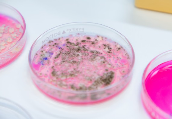 ภาพกิจกรรม  คณะวิทยาศาสตร์และเทคโนโลยี มหาวิทยาลัยราชภัฏกำแพงเพชร ร่วมกับโรงเรียนกำแพงเพชรพิทยาคม จัดกิจกรรมค่ายวิทยาศาสตร์นักเรียนห้องเรียนพิเศษวิทยาศาสตร์