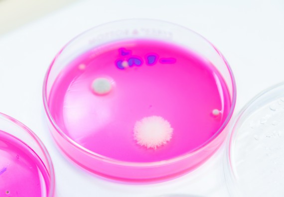 ภาพกิจกรรม  คณะวิทยาศาสตร์และเทคโนโลยี มหาวิทยาลัยราชภัฏกำแพงเพชร ร่วมกับโรงเรียนกำแพงเพชรพิทยาคม จัดกิจกรรมค่ายวิทยาศาสตร์นักเรียนห้องเรียนพิเศษวิทยาศาสตร์