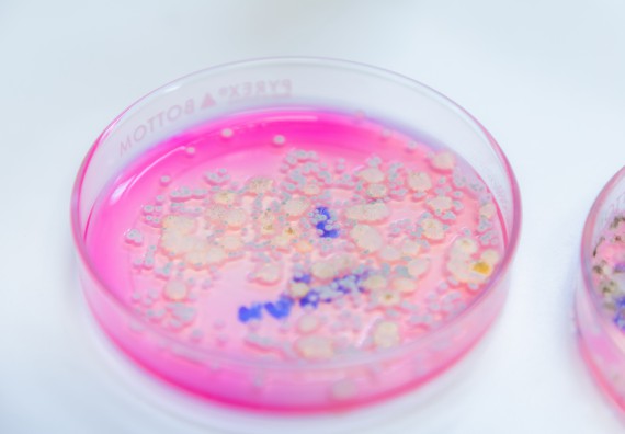 ภาพกิจกรรม  คณะวิทยาศาสตร์และเทคโนโลยี มหาวิทยาลัยราชภัฏกำแพงเพชร ร่วมกับโรงเรียนกำแพงเพชรพิทยาคม จัดกิจกรรมค่ายวิทยาศาสตร์นักเรียนห้องเรียนพิเศษวิทยาศาสตร์