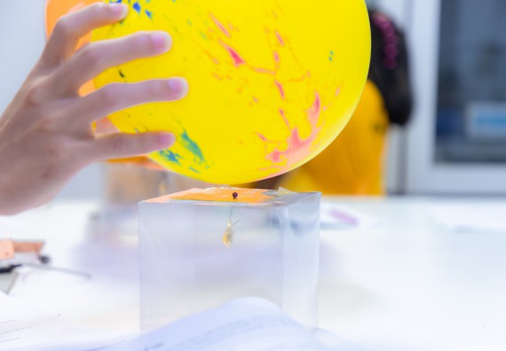 ภาพกิจกรรม  คณะวิทยาศาสตร์และเทคโนโลยี มหาวิทยาลัยราชภัฏกำแพงเพชร ร่วมกับโรงเรียนเทศบาล 2 (วัดทุ่งสวน) จัดกิจกรรมค่ายปฏิบัติการทางวิทยาศาสตร์ โรงเรียนเทศบาล 2 (วัดทุ่งสวน) ตามโครงการห้องเรียนอัจฉริยะ ให้กับนักเรียนระดับชั้นประถมศึกษาปีที่ 1-4