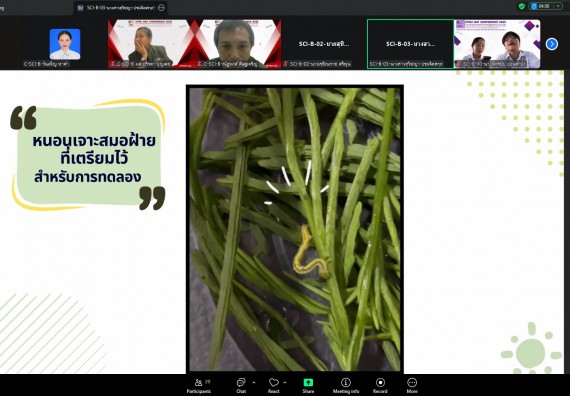 ภาพกิจกรรม  คณะวิทยาศาสตร์และเทคโนโลยี มหาวิทยาลัยราชภัฏกำแพงเพชร ได้จัดกิจกรรมการประชุมวิชาการออนไลน์ การนำเสนอผลงานและโครงงานทางวิชาการระดับชาติ ด้านวิทยาศาสตร์ คณิตศาสตร์และเทคโนโลยี