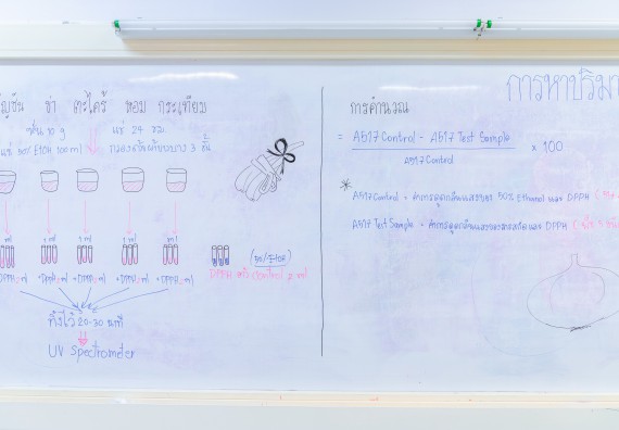 ภาพกิจกรรม  คณะวิทยาศาสตร์และเทคโนโลยี มหาวิทยาลัยราชภัฏกำแพงเพชร จัดกิจกรรมค่ายวิทยาศาสตร์สร้างสรรค์ ปั้นฝันเยาวชน ปีการศึกษา 2568