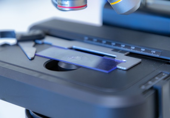 ภาพกิจกรรม  คณะวิทยาศาสตร์และเทคโนโลยี มหาวิทยาลัยราชภัฏกำแพงเพชร จัดกิจกรรมค่ายวิทยาศาสตร์สร้างสรรค์ ปั้นฝันเยาวชน ปีการศึกษา 2568