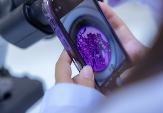 ภาพกิจกรรม  คณะวิทยาศาสตร์และเทคโนโลยี มหาวิทยาลัยราชภัฏกำแพงเพชร จัดกิจกรรมค่ายวิทยาศาสตร์สร้างสรรค์ ปั้นฝันเยาวชน ปีการศึกษา 2568