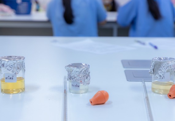 ภาพกิจกรรม  คณะวิทยาศาสตร์และเทคโนโลยี มหาวิทยาลัยราชภัฏกำแพงเพชร จัดกิจกรรมค่ายวิทยาศาสตร์สร้างสรรค์ ปั้นฝันเยาวชน ปีการศึกษา 2568