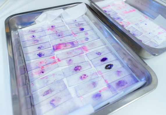 ภาพกิจกรรม  คณะวิทยาศาสตร์และเทคโนโลยี มหาวิทยาลัยราชภัฏกำแพงเพชร จัดกิจกรรมค่ายวิทยาศาสตร์สร้างสรรค์ ปั้นฝันเยาวชน ปีการศึกษา 2568