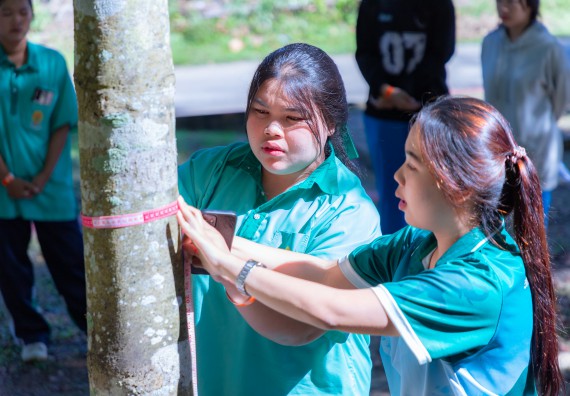 ภาพกิจกรรม  คณะวิทยาศาสตร์และเทคโนโลยี มหาวิทยาลัยราชภัฏกำแพงเพชร จัดกิจกรรมค่ายวิทยาศาสตร์สร้างสรรค์ ปั้นฝันเยาวชน ปีการศึกษา 2568