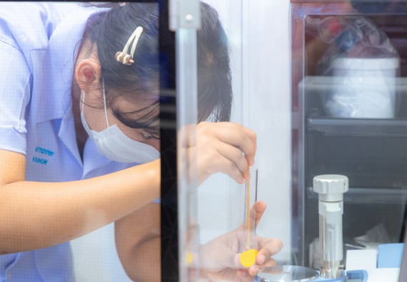 ภาพกิจกรรม  คณะวิทยาศาสตร์และเทคโนโลยี มหาวิทยาลัยราชภัฏกำแพงเพชร จัดกิจกรรมค่ายวิทยาศาสตร์สร้างสรรค์ ปั้นฝันเยาวชน ปีการศึกษา 2568